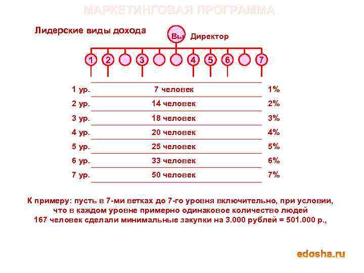 МАРКЕТИНГОВАЯ ПРОГРАММА Лидерские виды дохода 1 2 3 Вы Директор 4 5 6 7