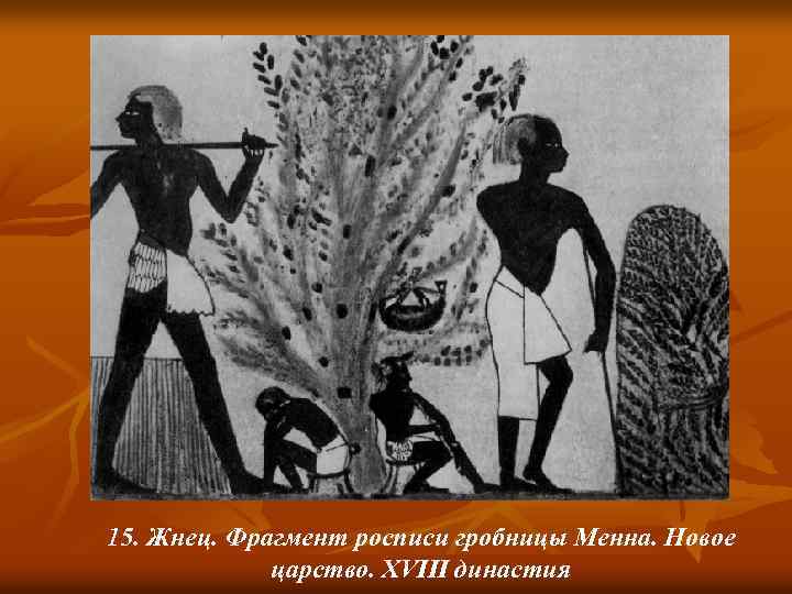 15. Жнец. Фрагмент росписи гробницы Менна. Новое царство. XVIII династия 