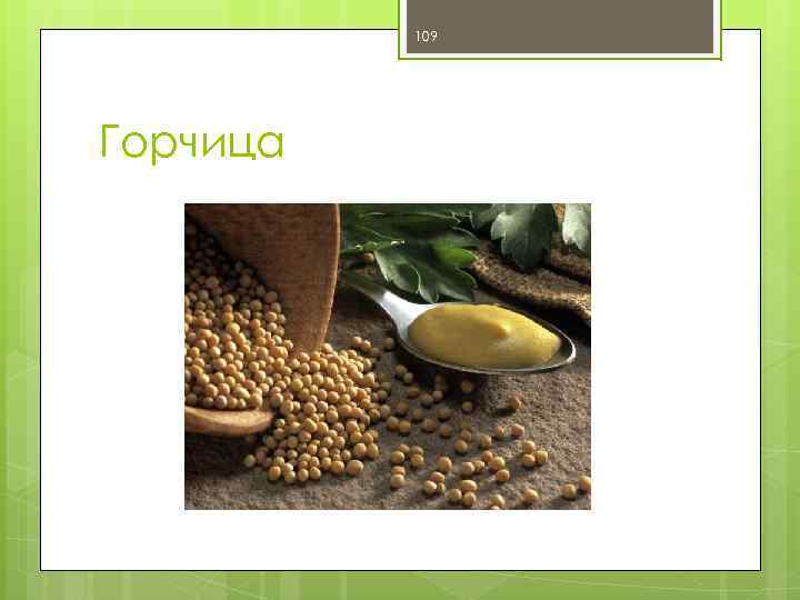 109 Горчица 
