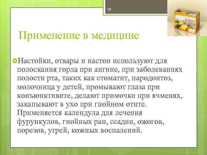 28 Применение в медицине Настойки, отвары и настои используют для полоскания горла при ангине,