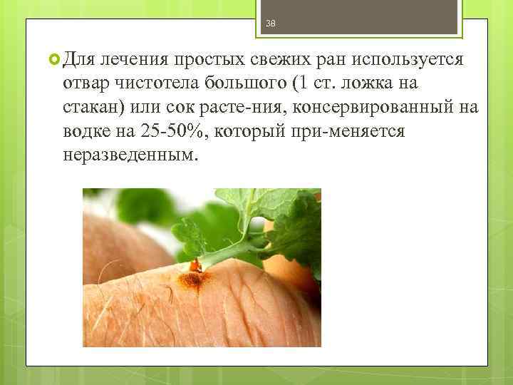 38 Для лечения простых свежих ран используется отвар чистотела большого (1 ст. ложка на