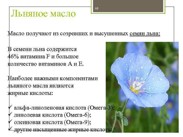Льняное масло 68 Масло получают из созревших и высушенных семян льна; В семени льна