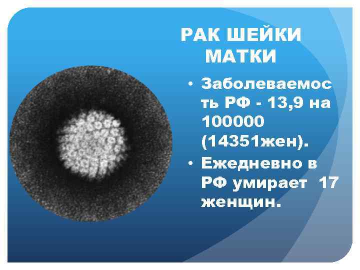 РАК ШЕЙКИ МАТКИ • Заболеваемос ть РФ - 13, 9 на 100000 (14351 жен).