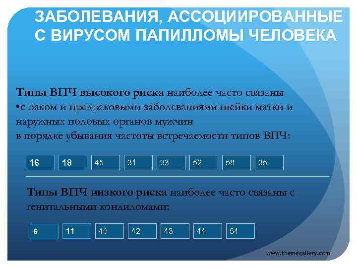 ЗАБОЛЕВАНИЯ, АССОЦИИРОВАННЫЕ С ВИРУСОМ ПАПИЛЛОМЫ ЧЕЛОВЕКА Типы ВПЧ высокого риска наиболее часто связаны •