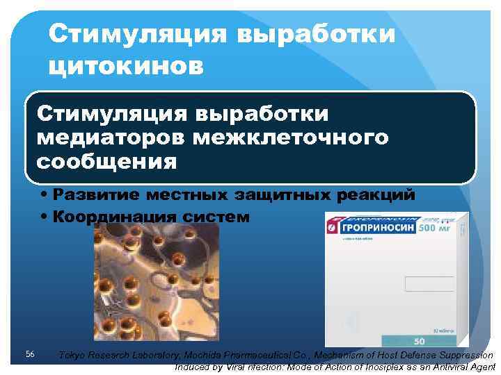 Стимуляция выработки цитокинов Стимуляция выработки медиаторов межклеточного сообщения • Развитие местных защитных реакций •