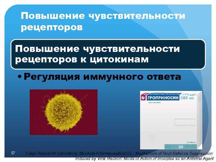 Повышение чувствительности рецепторов к цитокинам • Регуляция иммунного ответа 57 Tokyo Research Laboratory, Mochida