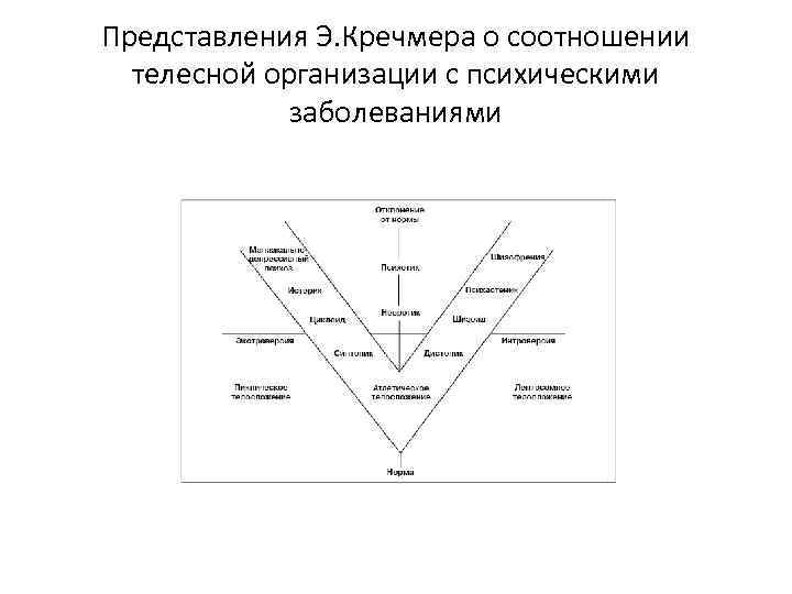 Представления Э. Кречмера о соотношении телесной организации с психическими заболеваниями 