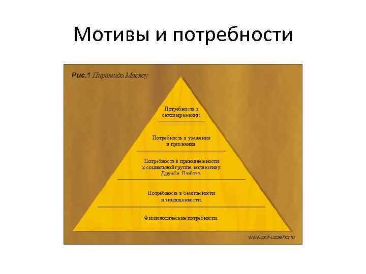 Мотивы и потребности 