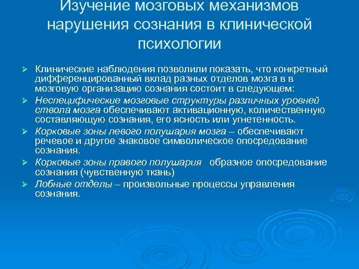 Перспективы исследования