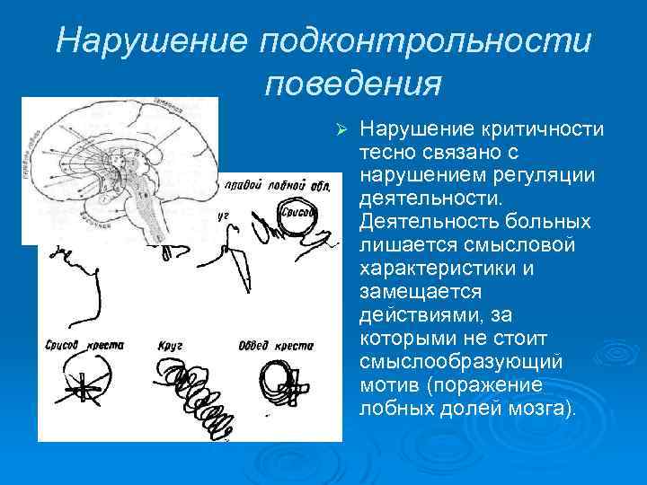 Нарушение подконтрольности поведения Ø Нарушение критичности тесно связано с нарушением регуляции деятельности. Деятельность больных