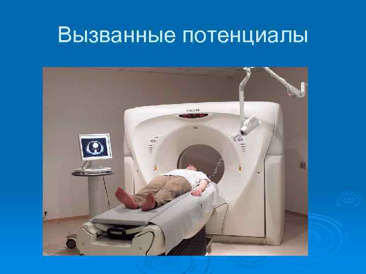 Вызванные потенциалы 