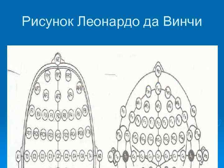 Рисунок Леонардо да Винчи 