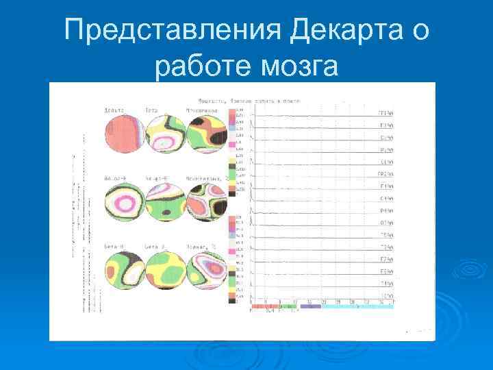 Представления Декарта о работе мозга 