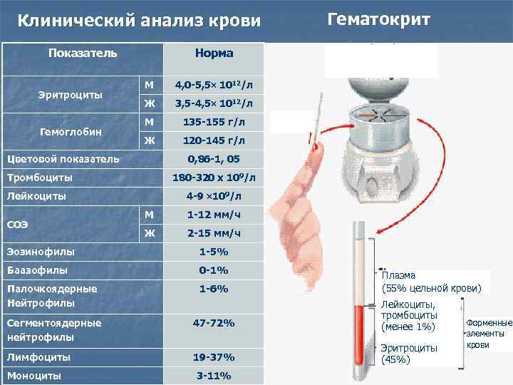 Норма м. Показатели анализа крови. Показатели вязкости крови. Клинический анализ крови норма. Нормальные показатели вязкости крови.