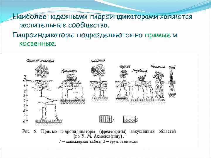 Наиболее надежными гидроиндикаторами являются растительные сообщества. Гидроиндикаторы подразделяются на прямые и косвенные. 