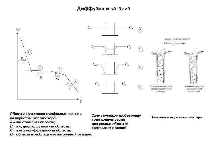 Диффузия и катализ Области протекания газофазных реакций Схематическое изображение на пористом катализаторе: поля концентраций