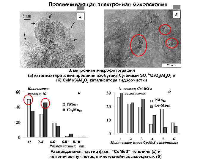 Просвечивающая электронная микроскопия a Электронная микрофотография (а) катализатора алкилирования изобутана бутенами SO 42 -/Zr.