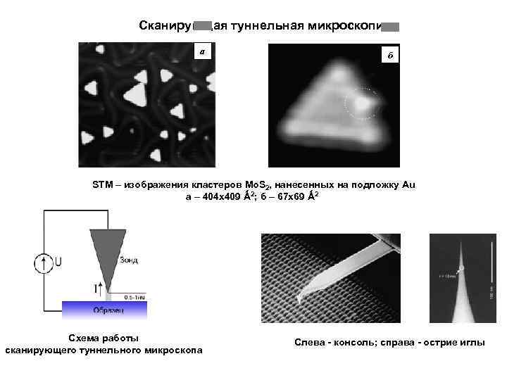 Сканирующая туннельная микроскопия a б STM – изображения кластеров Mo. S 2, нанесенных на