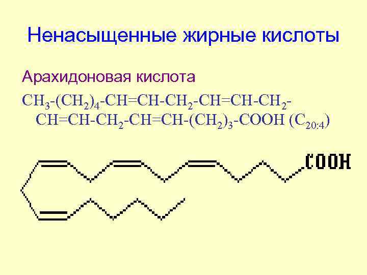 Ненасыщенные жирные кислоты Арахидоновая кислота СН 3 -(СН 2)4 -СН=СН-CH 2 -CH=CH-CH 2 -CH=CH-(СН