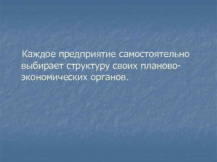 Каждое предприятие самостоятельно выбирает структуру своих плановоэкономических органов. 
