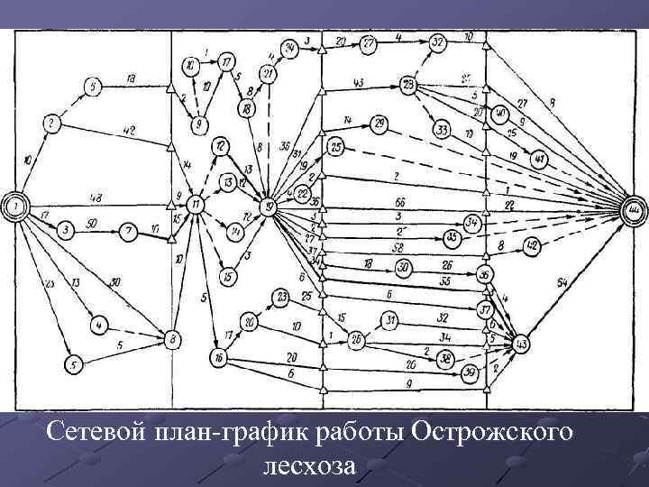 Сетевой план-график работы Острожского лесхоза 