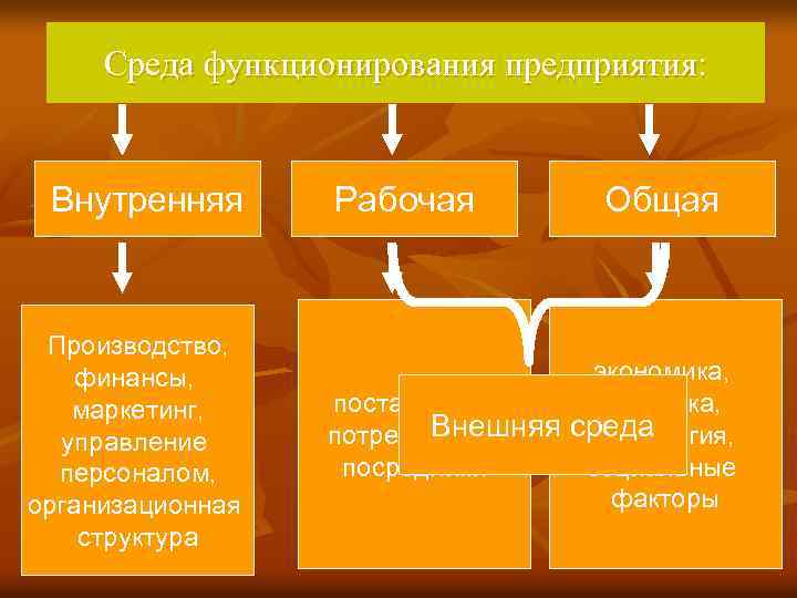 Среда функционирования предприятия: Внутренняя Производство, финансы, маркетинг, управление персоналом, организационная структура Рабочая Общая экономика,