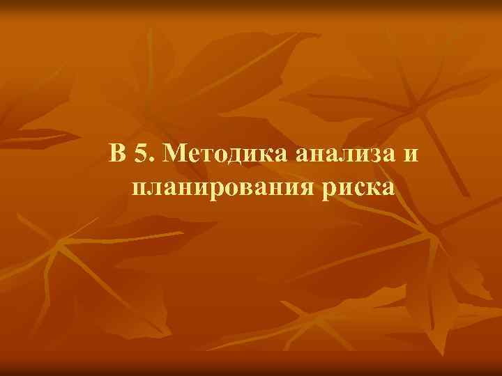В 5. Методика анализа и планирования риска 