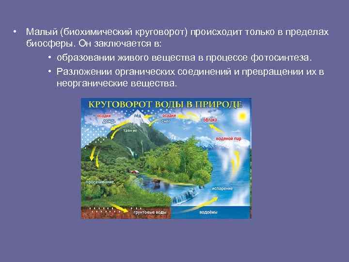  • Малый (биохимический круговорот) происходит только в пределах биосферы. Он заключается в: •