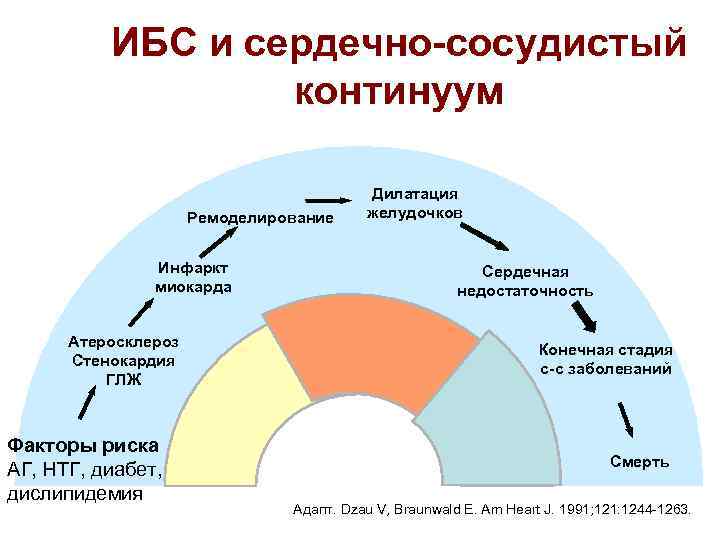 ИБС и сердечно-сосудистый континуум Ремоделирование Инфаркт миокарда Атеросклероз Стенокардия ГЛЖ Факторы риска АГ, НТГ,