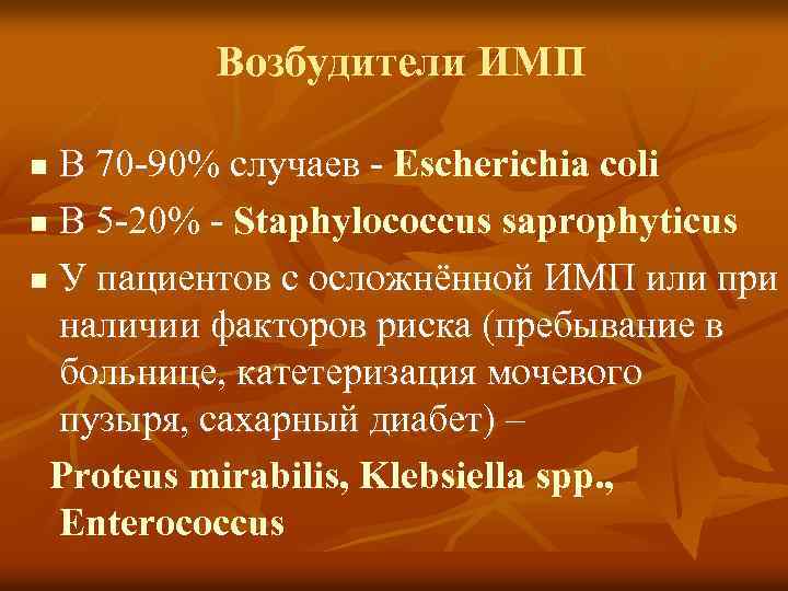 Возбудители ИМП В 70 -90% случаев - Escherichia coli n В 5 -20% -