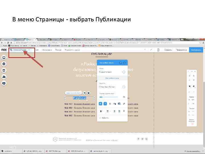 В меню Страницы - выбрать Публикации 