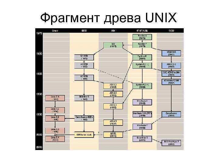 Фрагмент древа UNIX 