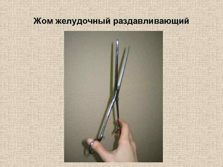 Жом желудочный раздавливающий 