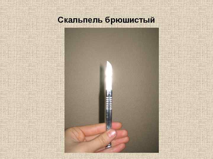 Скальпель брюшистый 