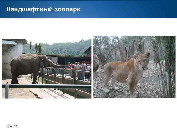 Ландшафтный зоопарк Page 12 