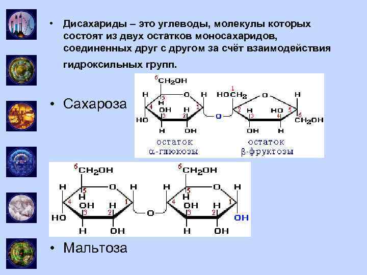 Синтез молекулы углевода