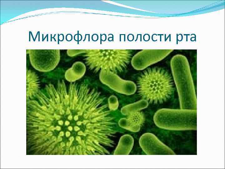 Микрофлора полости рта 