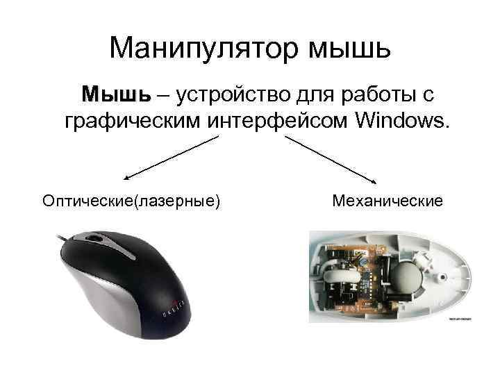 Манипулятор мышь Мышь – устройство для работы с графическим интерфейсом Windows. Оптические(лазерные) Механические 