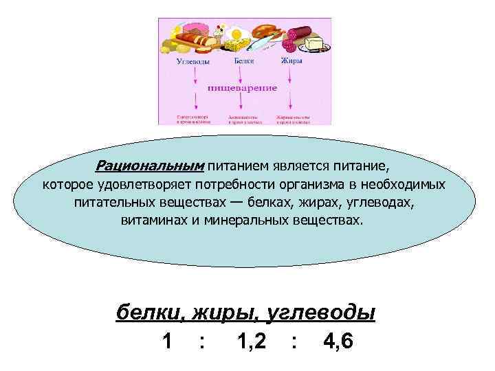 Рациональным питанием является питание, которое удовлетворяет потребности организма в необходимых питательных веществах — белках,