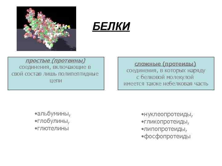 БЕЛКИ простые (протеины) соединения, включающие в свой состав лишь полипептидные цепи • альбумины, •