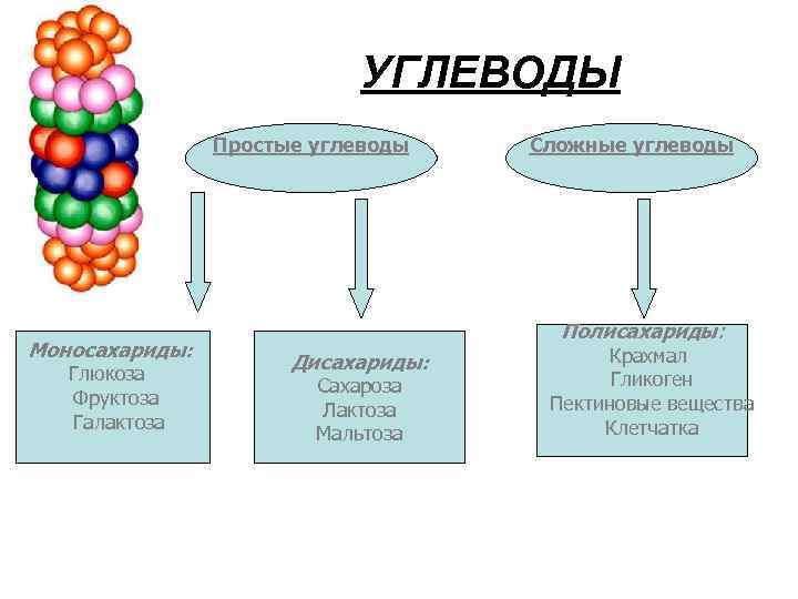 Простые углеводы