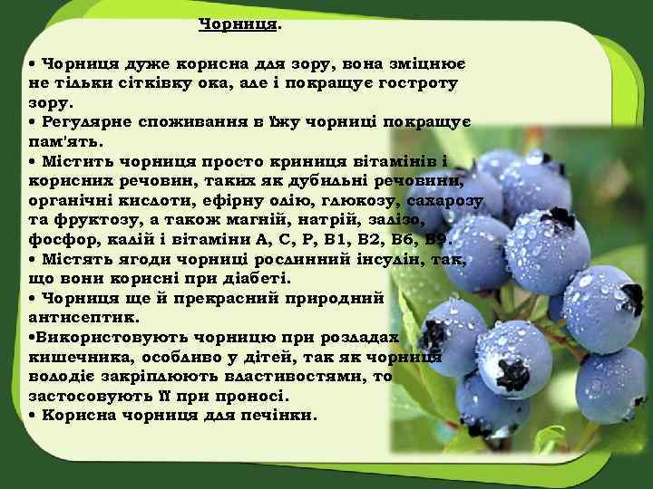 Чорниця. • Чорниця дуже корисна для зору, вона зміцнює не тільки сітківку ока, але
