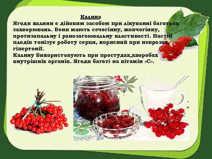 Калина Ягоди калини є дійовим засобом при лікуванні багатьох захворювань. Вони мають сечогінну, жовчогінну,