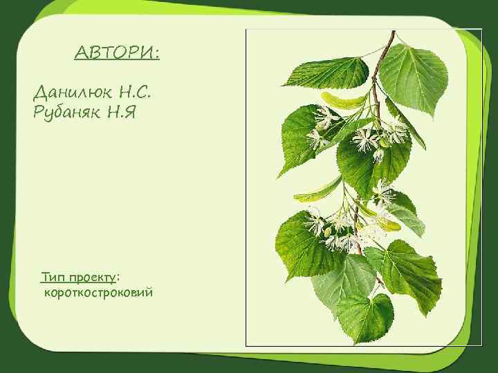 АВТОРИ: Данилюк Н. С. Рубаняк Н. Я Тип проекту: короткостроковий 