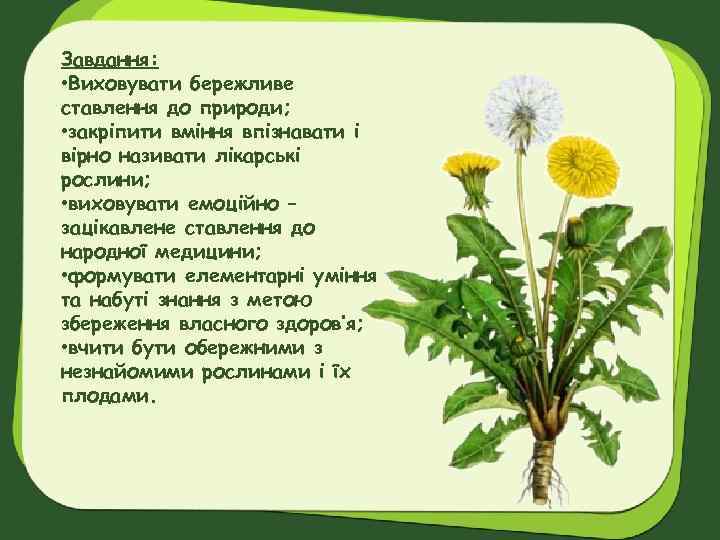 Завдання: • Виховувати бережливе ставлення до природи; • закріпити вміння впізнавати і вірно називати
