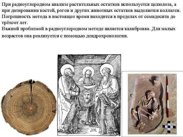 При радиоуглеродном анализе растительных остатков используется целюлоза, а при датировании костей, рогов и других