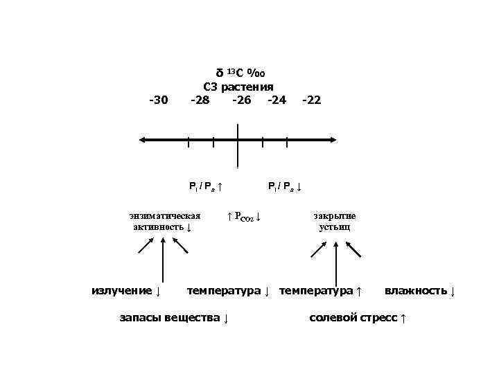-30 δ 13 С ‰ С 3 растения -28 -26 -24 Рi / Р