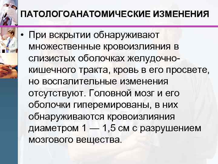 ПАТОЛОГОАНАТОМИЧЕСКИЕ ИЗМЕНЕНИЯ • При вскрытии обнаруживают множественные кровоизлияния в слизистых оболочках желудочнокишечного тракта, кровь