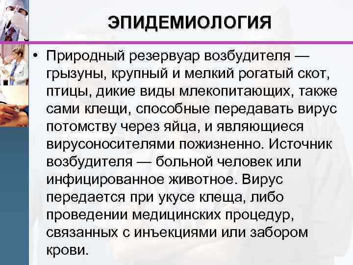 ЭПИДЕМИОЛОГИЯ • Природный резервуар возбудителя — грызуны, крупный и мелкий рогатый скот, птицы, дикие