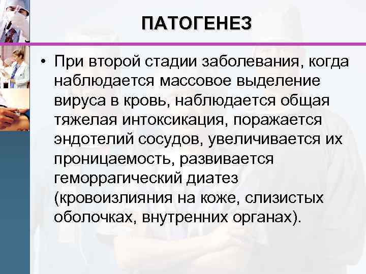 ПАТОГЕНЕЗ • При второй стадии заболевания, когда наблюдается массовое выделение вируса в кровь, наблюдается